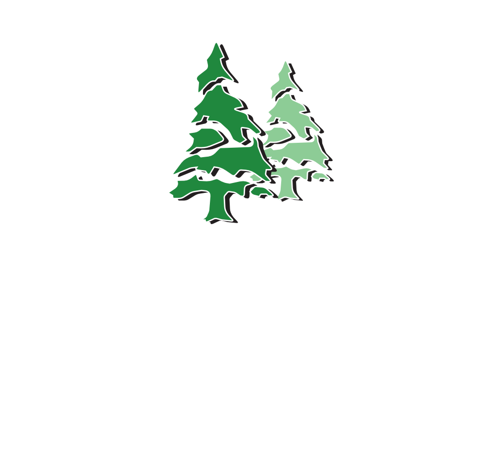 Fröhlich Tree GmbH - Christbäume und Reisig